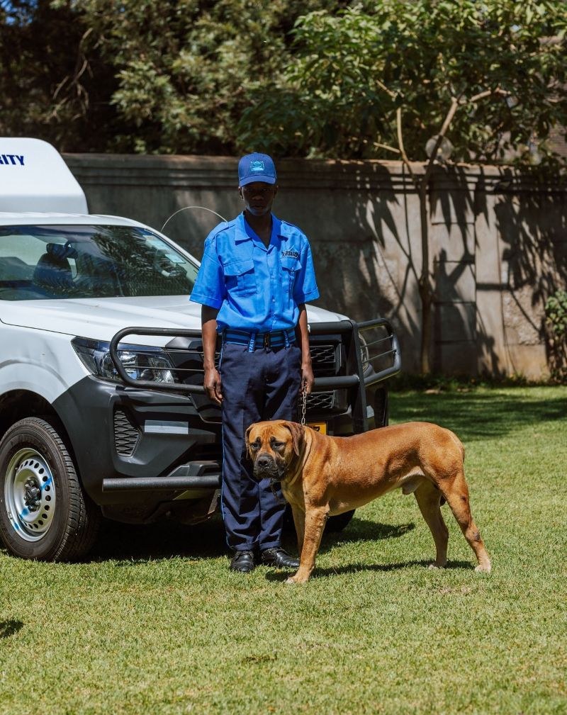 Guard Dog Protection